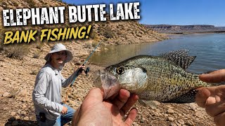 This Fishing Spot on a Desert Lake Has Everything!