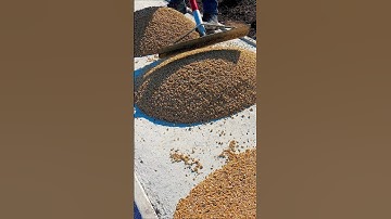 Resin Bound Paving Walkway, Cornfield blend. #resin #resinbound #paving #asmr #satisfying #shorts