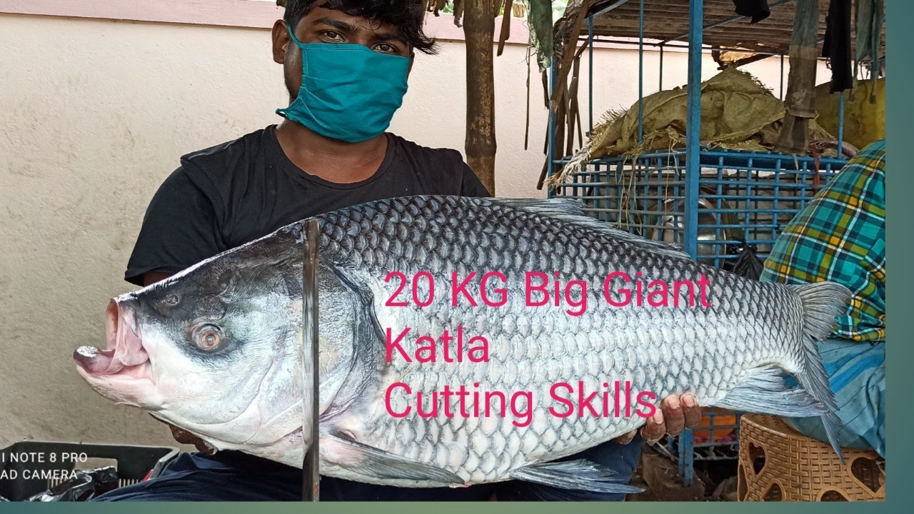 Giant Katla Carp Fish Cutting In Indian Fish Market | Fish Cutting Skills