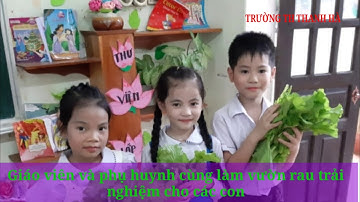 BÁO CÁO TỔNG KẾT CUỘC THI KHÔNG GIAN TRƯỜNG LỚP AN TOÀN, SÁNG TẠO, HIỆU QUẢ