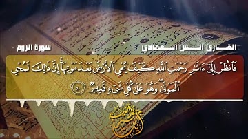 تلاوة خاشعة للقارئ I أنس بن عيسى العمادي I سورة الروم
