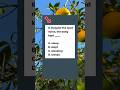 【Round 38】英语搭配10题|2分钟挑战#english quiz#Can you score 100%?