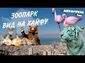 Израиль. Кармелит. Зоопарк. Вид на Хайфу