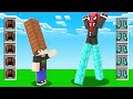 FERİTED VS UZUN ZIRHLAR - Minecraft