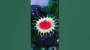k-food carving decoration 작품명 이글이글 태양 수박카빙 태양 sun 푸드카빙 대한민국 최고수준 수박카빙 선보여드립니다. #수박카빙 #푸드카빙테이블연출