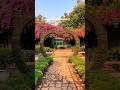 Lodhi garden New Delhi view India best tourist place