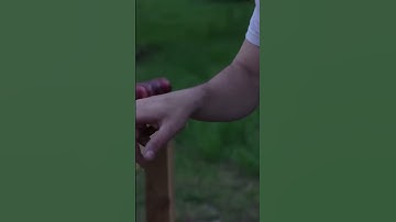 How many apples does it take to stop an arrow? #BEEREAL #shorts