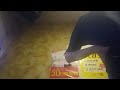 君へのメロディー (MANISH) 大黒摩季作詞 を唄っています