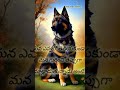 మనం ఎవరమో తెలియకుండా #teluguquotation #sahateluguquotations