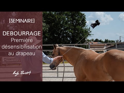 [SEMINAIRE] Débourrage : la désensibilisation au drapeau