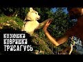 КОЗЮШКИ, КОВРИШКИ, ТРИСАГУСЬ ИЛИ МЯСЦО 2! +ОТВЕТЫ НА ВОПРОСЫ (Хаски Капелла)