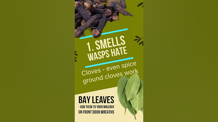 Natural Pest Control | 3 Ways to rid wasps from nesting near your property