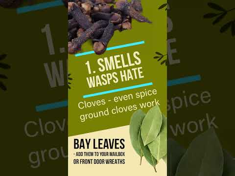 Video: 3 Ways to Kill Wasps