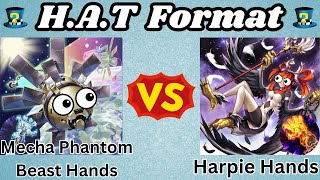 Download Lagu Mecha Phantom Beast Hands Vs Harpie Hands! | HAT Format Replay Review! | 2014 Yu-Gi-Oh! WCQ MP3