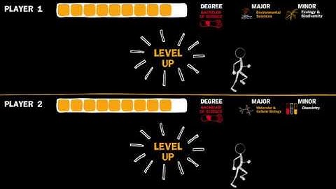 Bachelor of Science at the University of Waikato