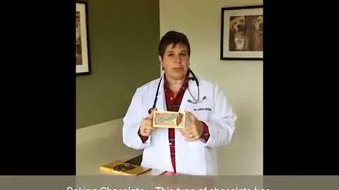 Danger! Make Sure Your Chocolate is Out of Paws Re...
