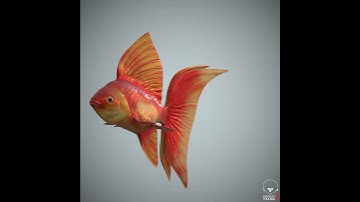C4d Fish swim 2