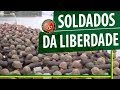 Soldados da Liberdade