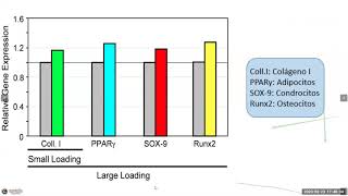 Evidencia actual en el manejo de las Tendinopatías Evidencia actual en el manejo de las Tendinopatías