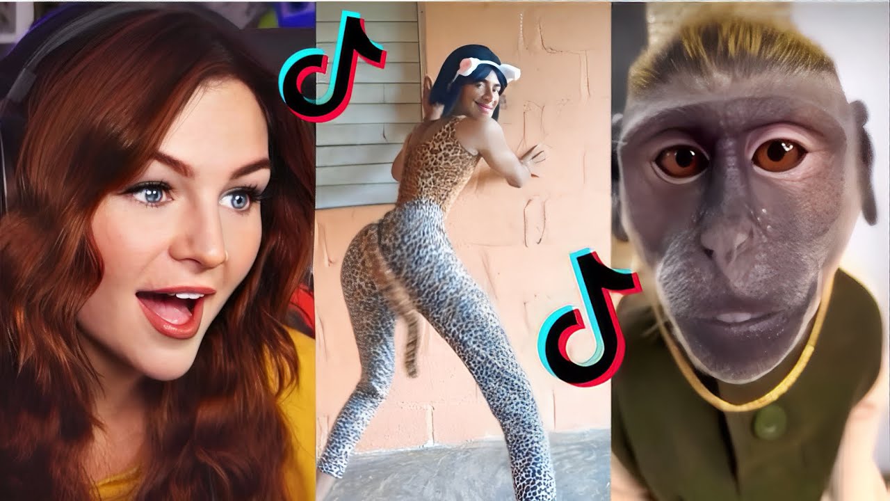 TikToks Are Gettin Wild