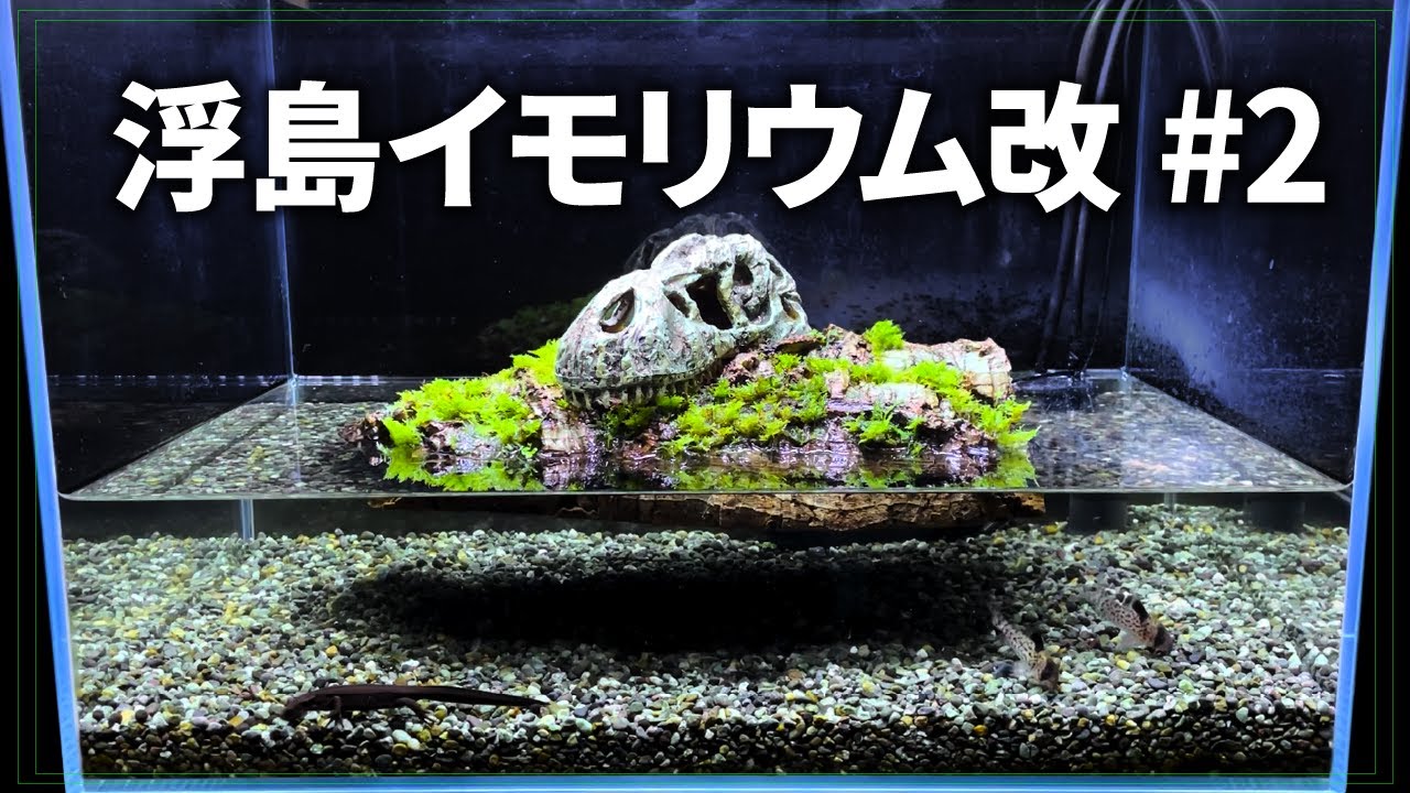 浮島イモリウム改 #2 - 超吸水素材への交換、そして完成へ - YouTube