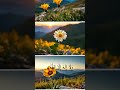 Beautiful Zikr Trending Youtubeshorts Shorts Beautiful Zikr Trending Youtubeshorts Shorts