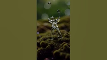 القران الكريم سورة النمل بصوت القارئ ياسر الدوسري