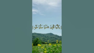 (إن الله وملائكته يصلون على النبي..) القارئ حسام الدين عابدي _ تلاوة عطرة