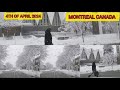 Driving tour beautiful snowy day in montreal canada4th of april 2024