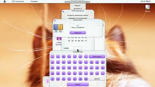 BarOS 11 Loud purr | step verification should be considered for the first time in | IIII