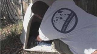 Dog Supplies : How to Make a Dog House Warm in the Winter Wealth