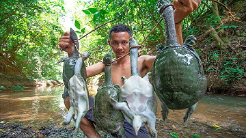 Unbelievable! Research & catch n 5 Softshell Turtle​ underwater then Cooking Turtle​ Soup in forest