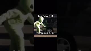 My Pet Alien From Area 51