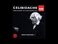 Beethoven - Symphony No 7 - Celibidache, MPO (1989)