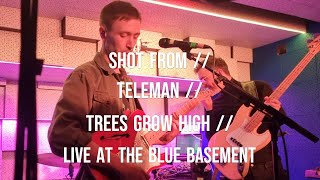 SHOT FROM // TELEMAN // TREES GROW HIGH // LIVE AT THE BLUE BASEMENT, LONDON (THIRD MAN RECORDS)