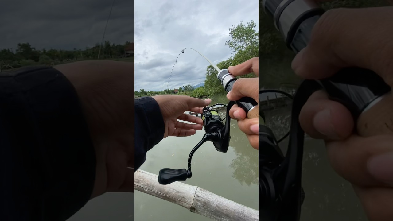 casting baby gt dari atas jembatan bambu 