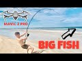 DRONE FISHING with the MAVIC PRO 2!!! (200m drops) - Big Fish