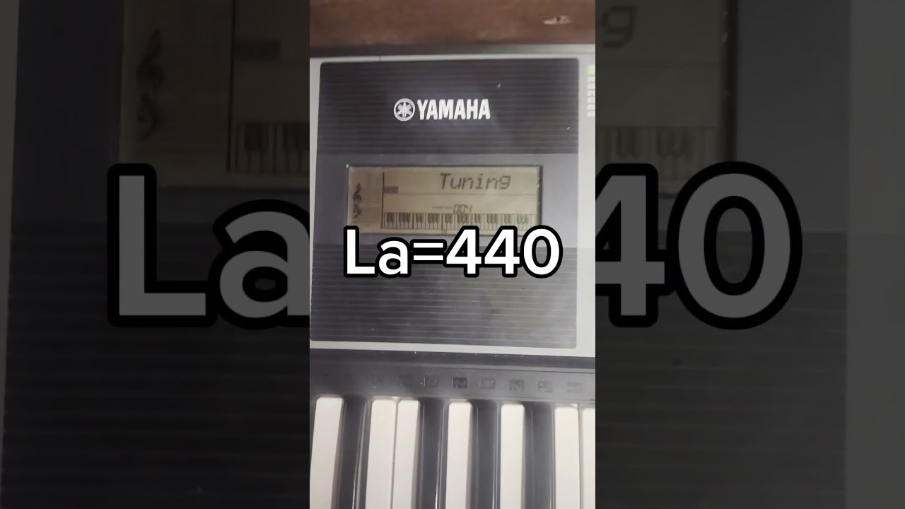 El misterio de la afinación de Salir de la melancolía 