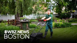 Massachusetts hardware store shares tips on helping your lawn look its best