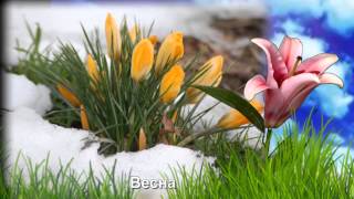 Учим времена года Зима,весна, лето , осень для малышей Учим времена года Зима,весна, лето , осень для малышей