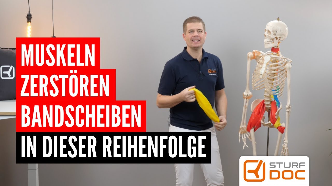 In dieser Reihenfolge zerstören Muskeln die Bandscheiben