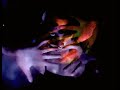 To Feel Free Vignette directed by Delilah Brien