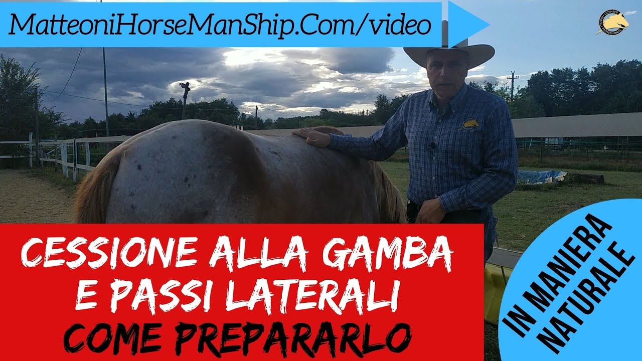 Cessione alla gamba e passi laterali: come preparare il cavallo