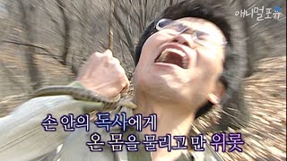 독사에게 물린 남자가 병원에 바로 가지 않은 이유는?! l KBS 위기탈출 넘버원 090413 방송