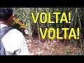 A MELHOR COISA A FAZER FOI VOLTAR - VEJA POR QUÊ