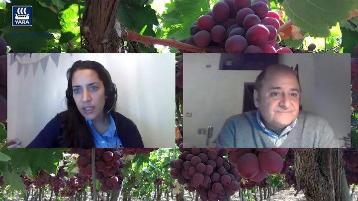 Webinar - Uva de mesa con Samuel Roman