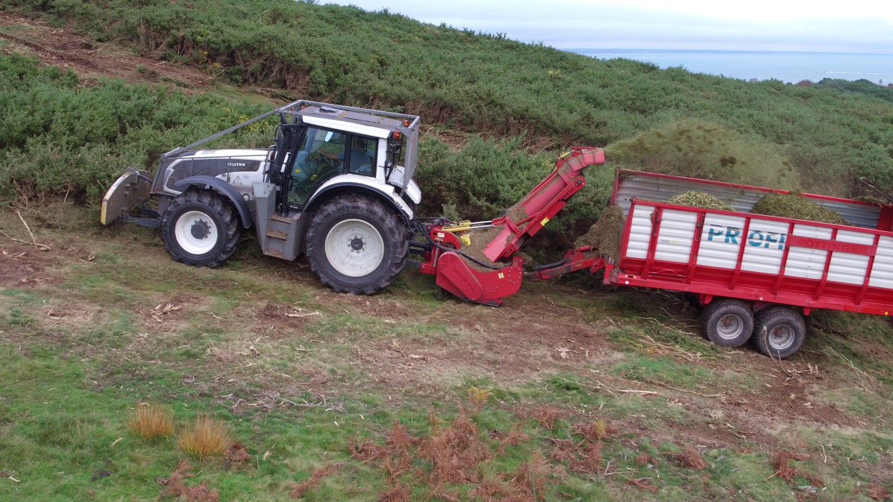 Seppi Drago Gorse clearance Studland