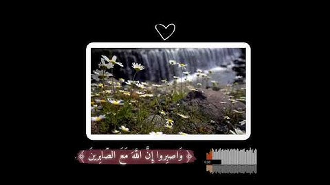 عطر مسمعك 🎧✅||تلاوة تخشع لها القلوب💞|| تلاوة مبكية🌼((وَٱصْبِرْ وَمَا صَبْرُكَ إِلَّا بِٱللَّهِ ۚ َ))