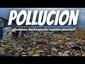 ¿Cómo afecta el plástico al medio ambiente?