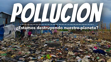 ¿Cómo se reduce el impacto ambiental de los desechos de plástico de un solo uso?